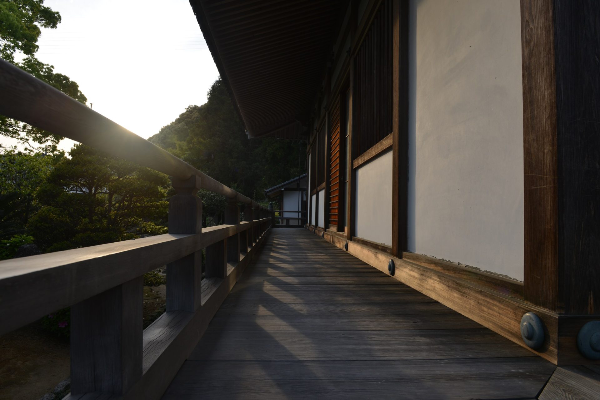 奥熊野いだ天ウルトラマラソン