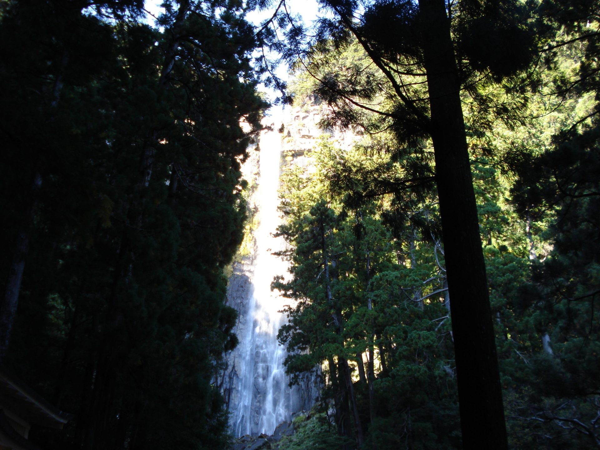 奥熊野いだ天ウルトラマラソン
